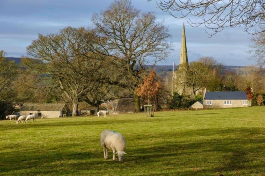 Holiday home Garden - Ashover Village Near Matlock