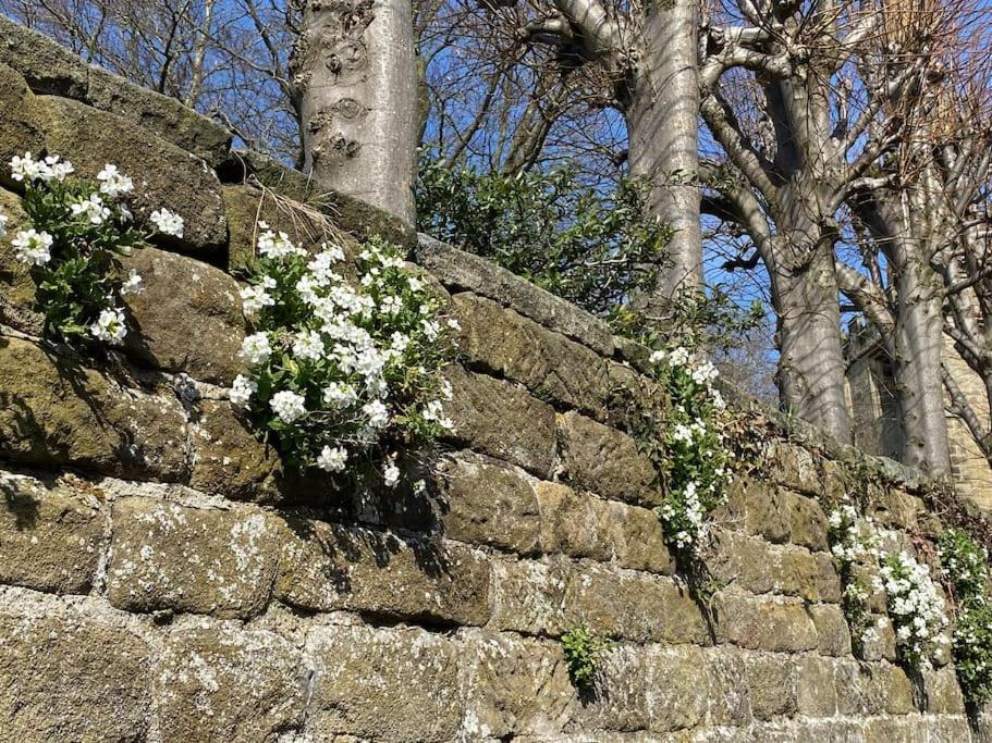 Garden - Ashover Village Near Matlock Chesterfield