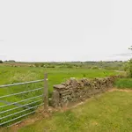 Highview Stables