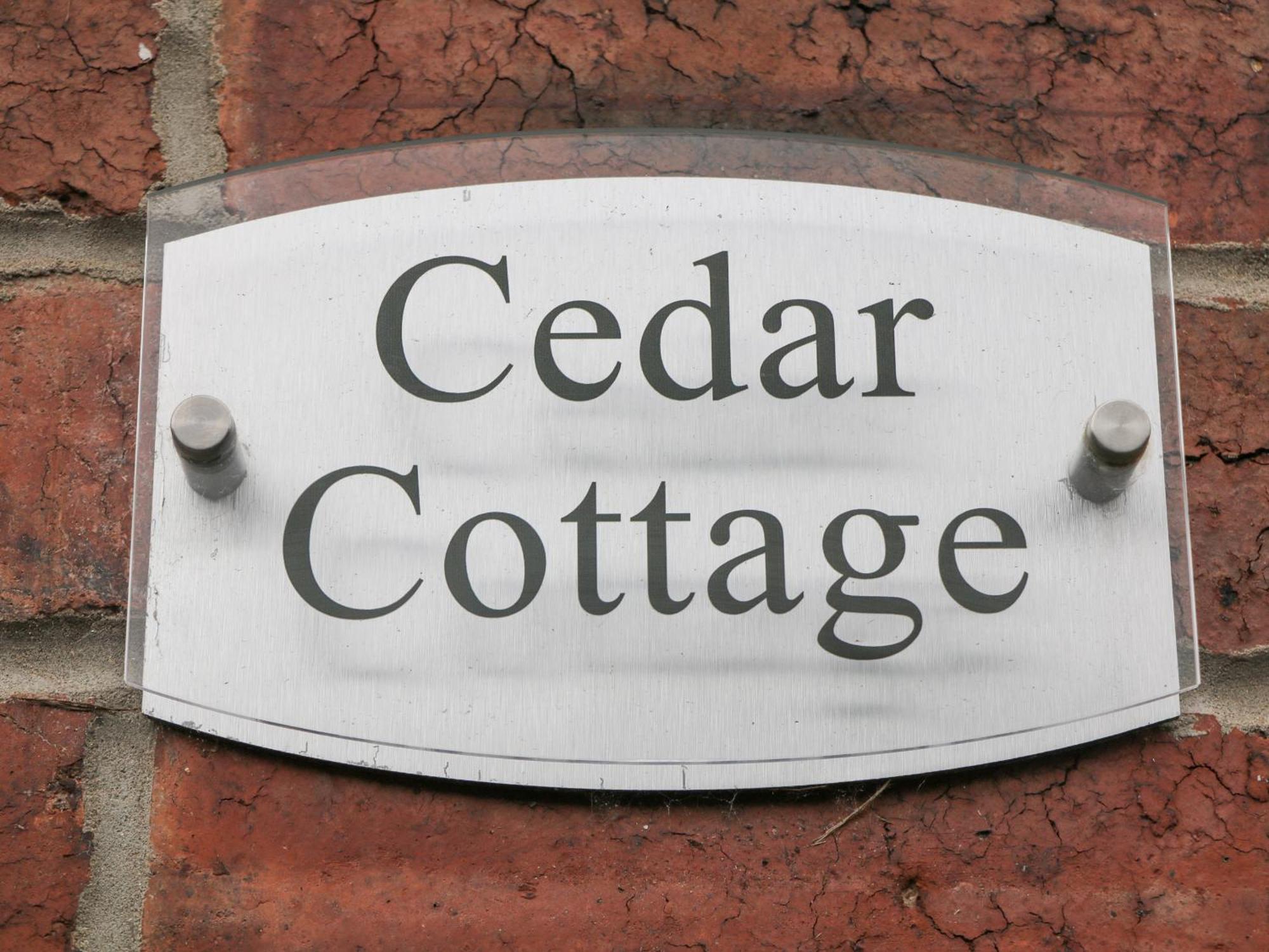 Cedar *