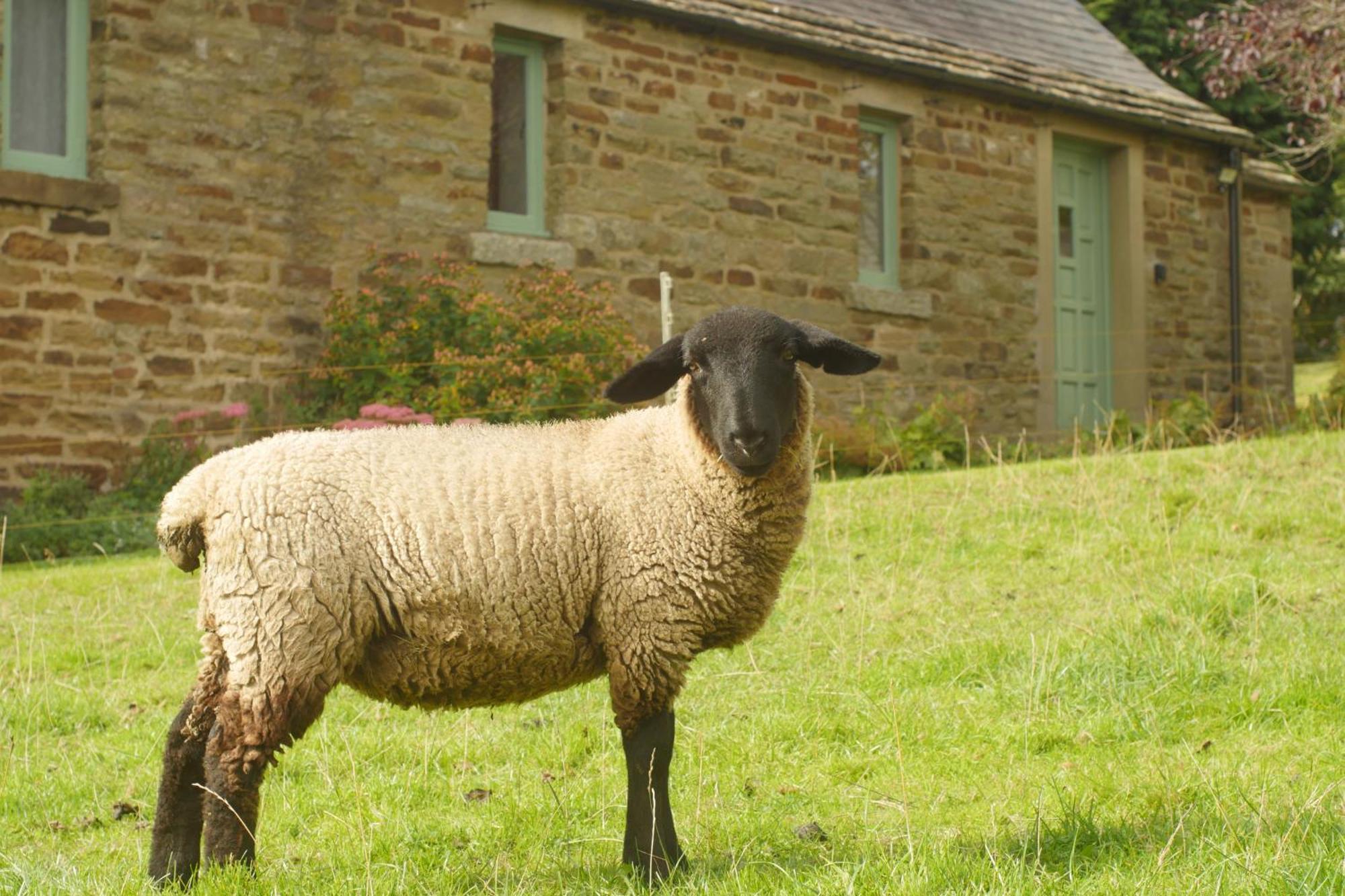 Temperance Croft Holiday home